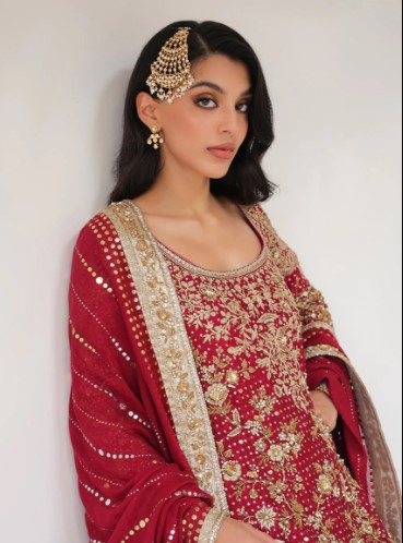 Red Long Pakistani Style Long Kameez Perfect for bridal wear 2 Heavy Embroidered Pakistani Dress
Zardosi Work Suit