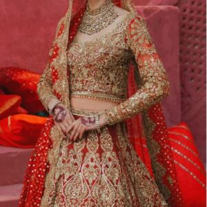 Pakistani dress