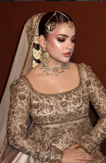 Why Dusty Rose Pakistani Bridal Lehengas Are the New Luxury Wedding Trend 6 Zardosi Bridal Lehenga
Dabka Work Lehenga