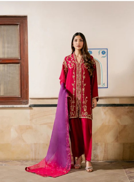 Pakistani Designer Red Raw Silk Kameez