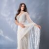 Elegant Ivory Net Saree with Handwork Blouse & Sheer Transparent Drape DN - 3010