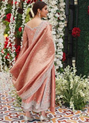 Back view of peach handwork sharara suit with embroidered border and draped zari dupatta for wedding Back view of peach handwork sharara suit with embroidered border and draped zari dupatta for wedding