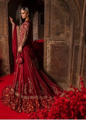 Pakistani Walima Dresses Pakistani Walima Dresses