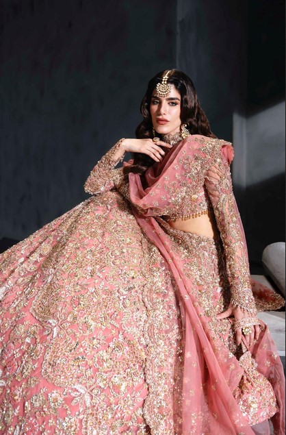 Pink handwork lehenga choli