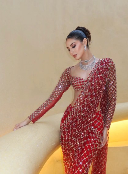 Handcrafted red net saree featuring cutdana and sitara work